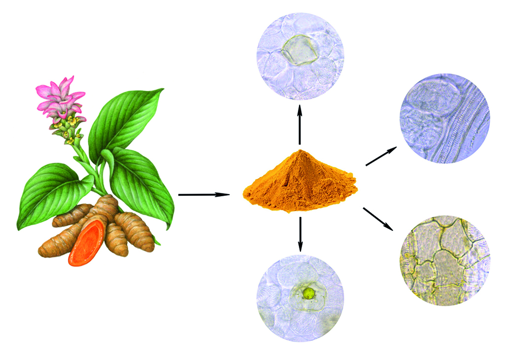 Изображение на обложке
