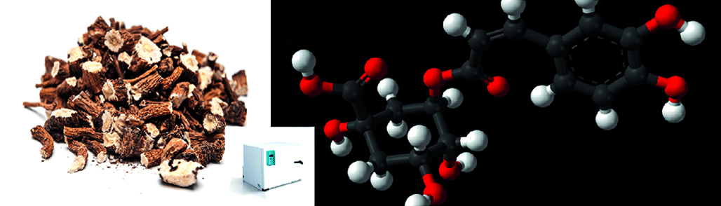 Изображение на обложке