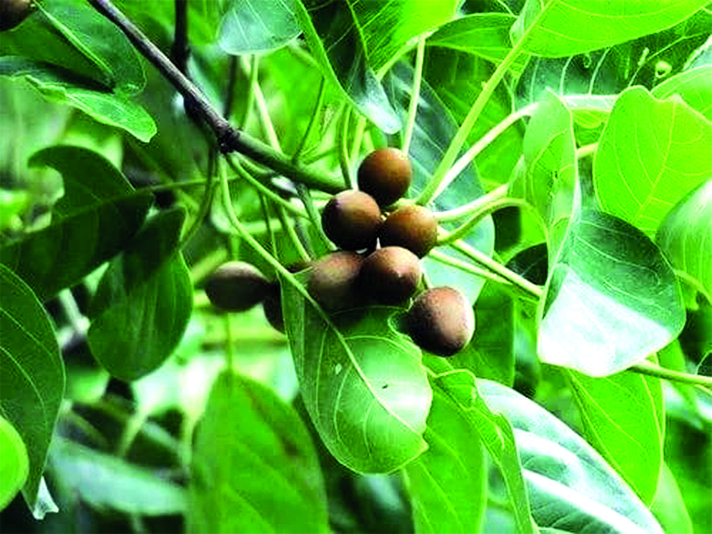 Изображение на обложке