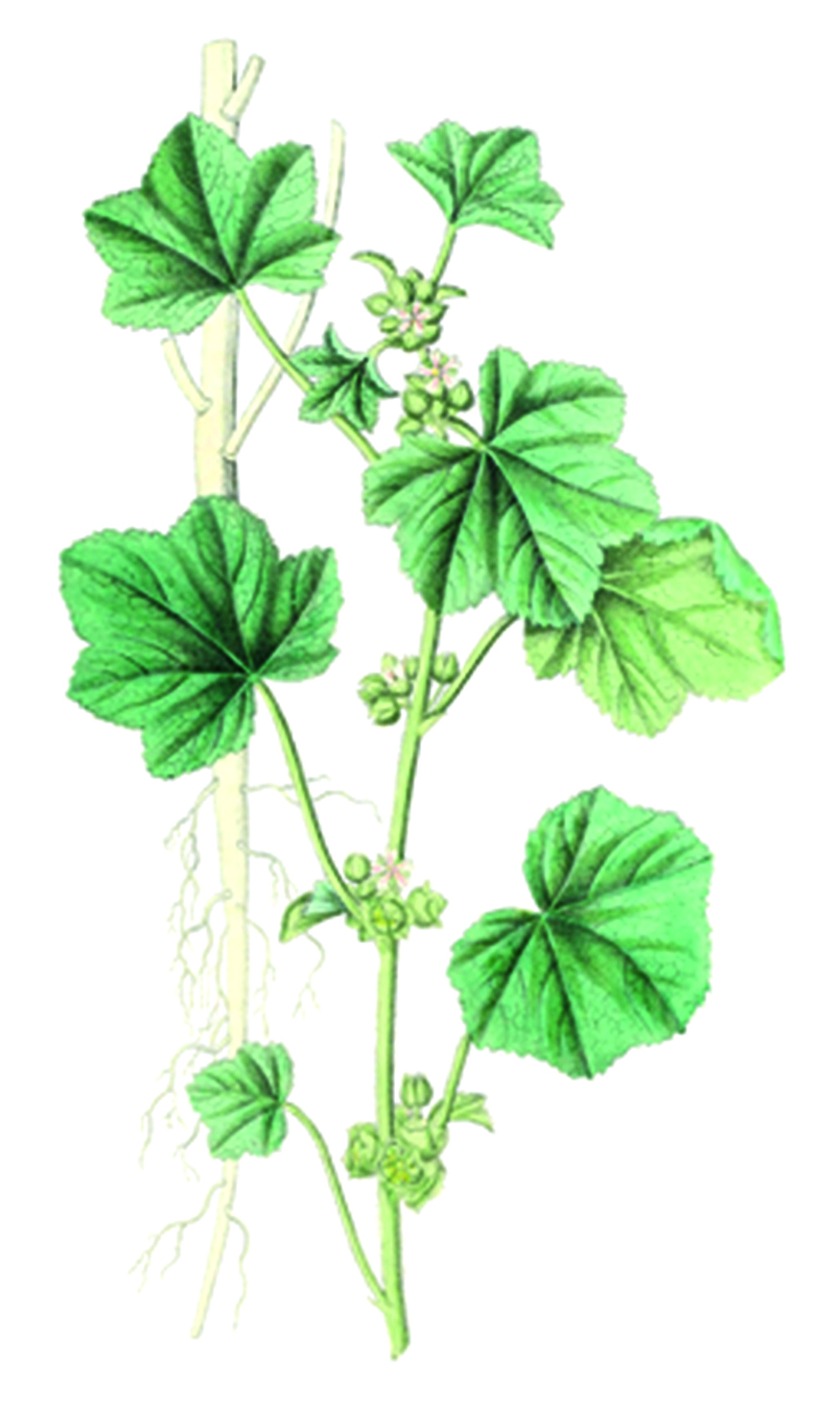 Изображение на обложке