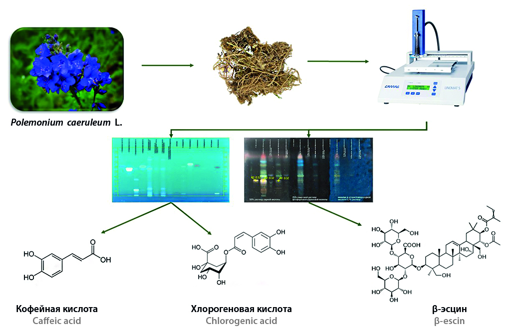 Изображение на обложке