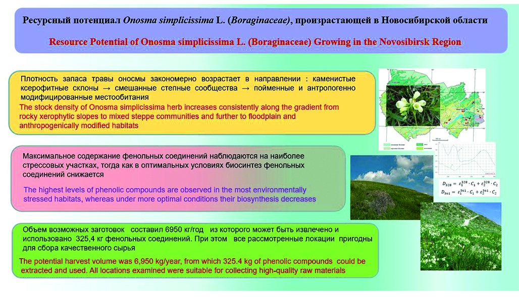 Изображение на обложке