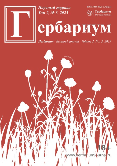 Титульный лист